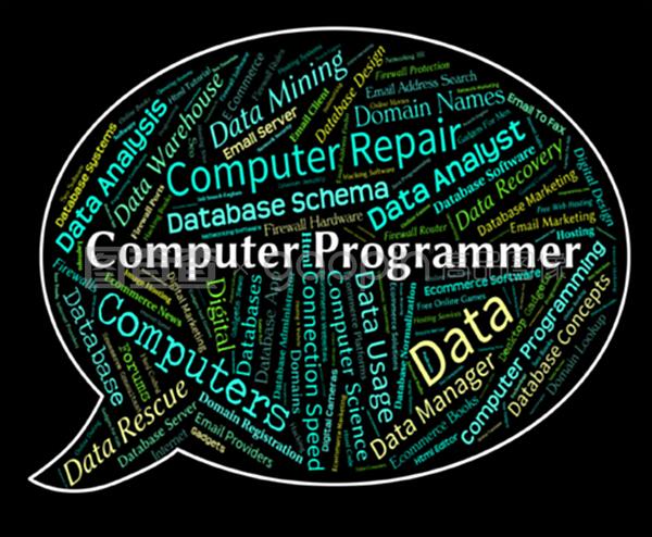 計(jì)算機(jī)程序員是指軟件工程師和通信人員