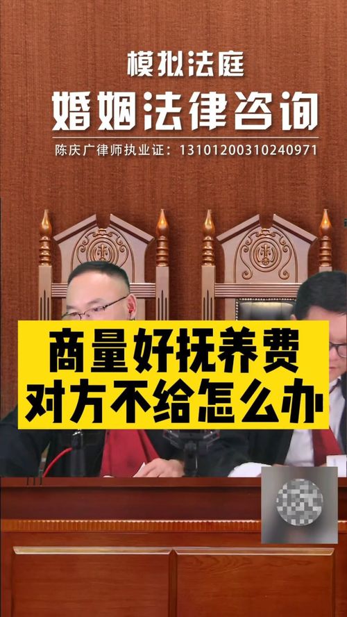 撫養(yǎng)費協(xié)商后對方拒不支付，法律途徑如何維權(quán)？
