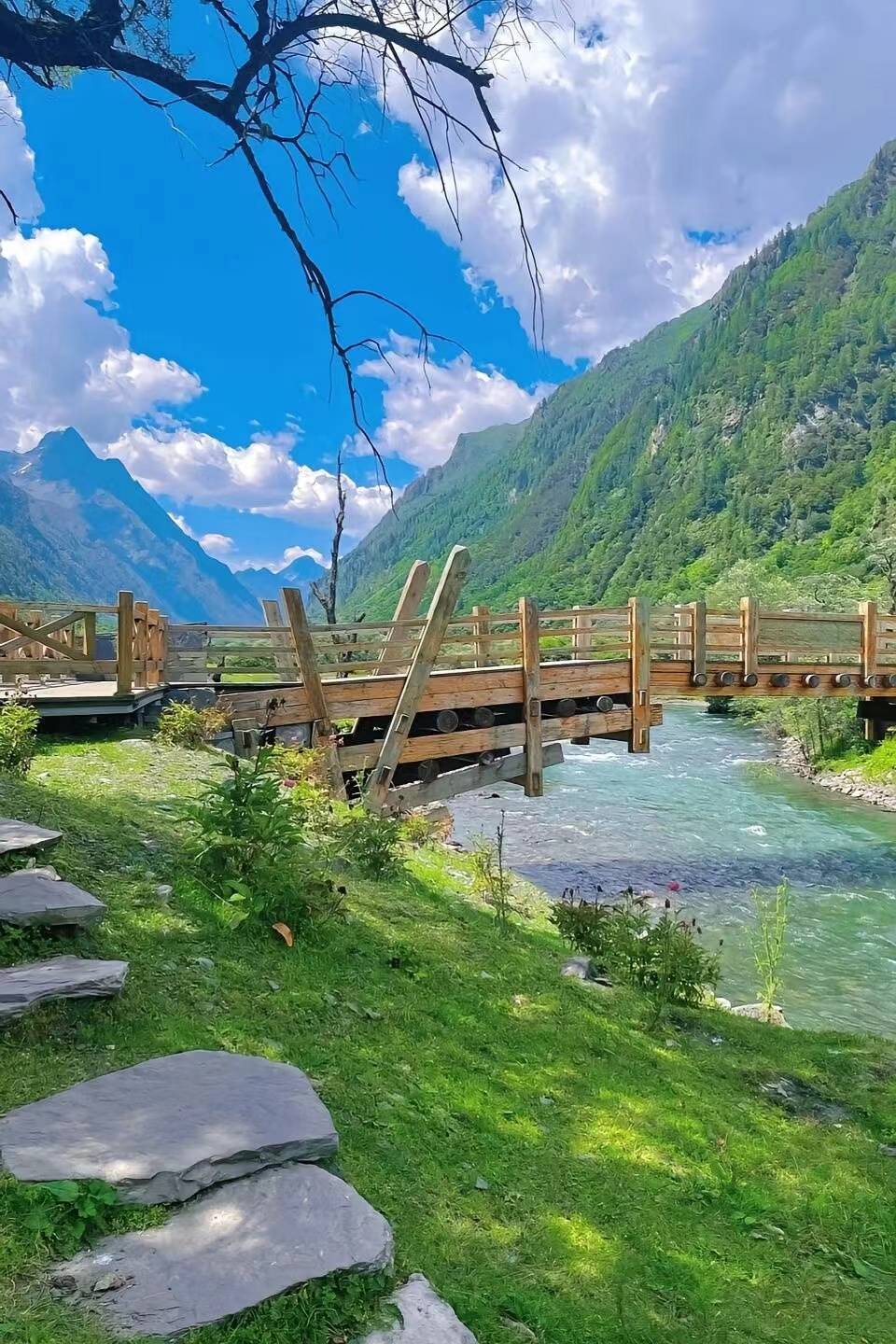 廈門至四川旅游報團價格全解析 團費多少？魅力旅行如何不踩坑？
